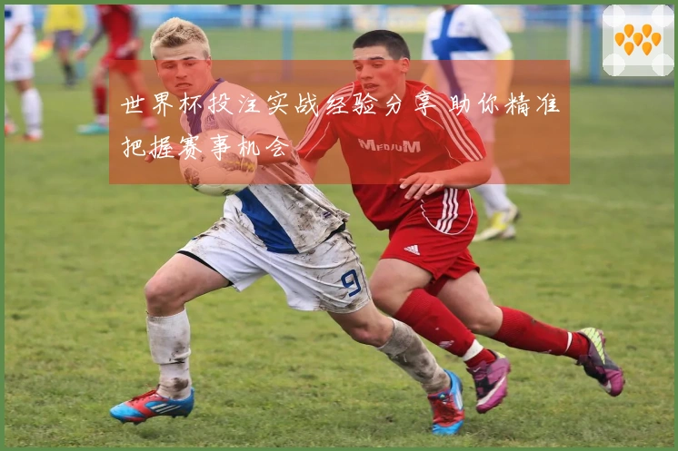 世界杯投注实战经验分享 助你精准把握赛事机会