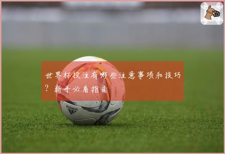 世界杯投注有哪些注意事项和技巧？新手必看指南