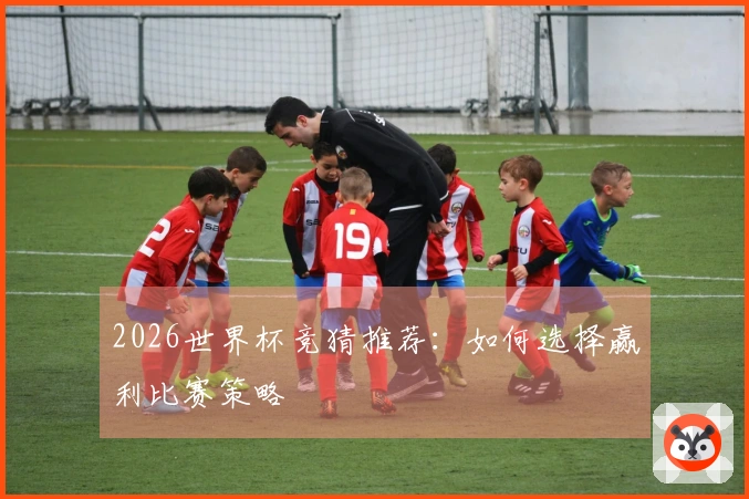 2026世界杯竞猜推荐：如何选择赢利比赛策略