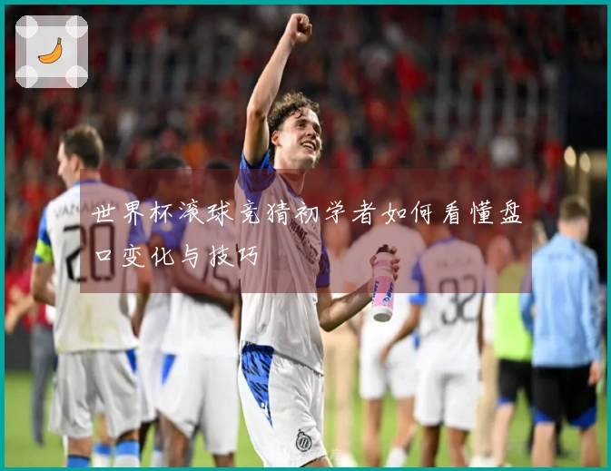 世界杯滚球竞猜初学者如何看懂盘口变化与技巧