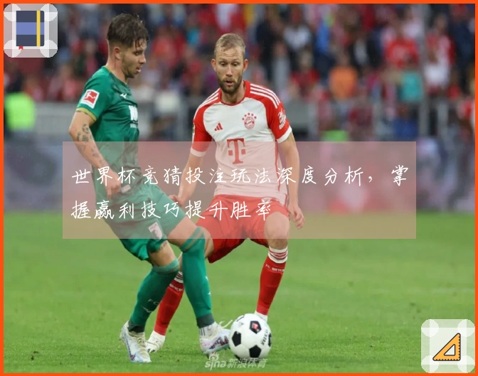 世界杯竞猜投注玩法深度分析，掌握赢利技巧提升胜率