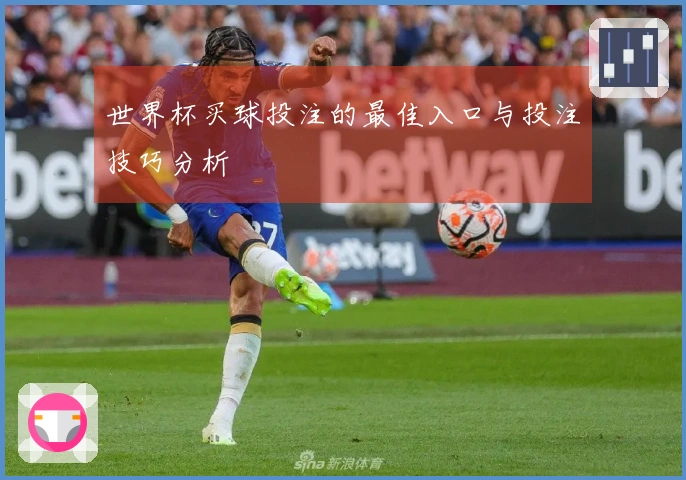 世界杯买球投注的最佳入口与投注技巧分析