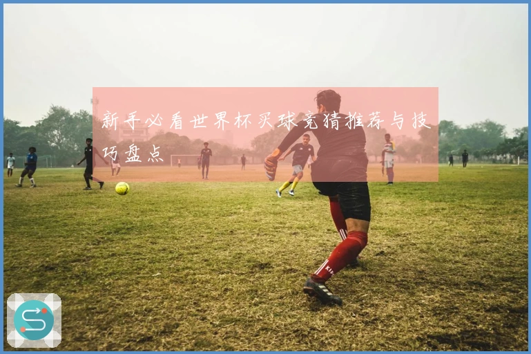 新手必看世界杯买球竞猜推荐与技巧盘点
